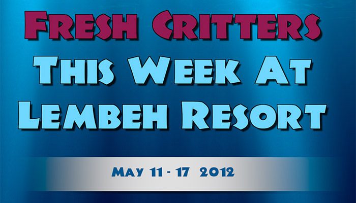 Catch our weekly Critter update produced by our in-house Photo & Video Center.