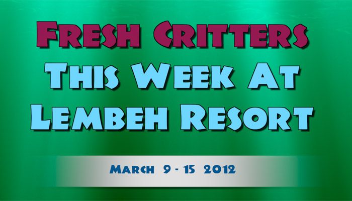 Catch our weekly Critter update produced by our in-house Photo & Video Center.