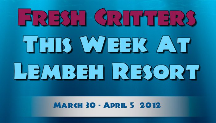 Catch our weekly Critter update produced by our in-house Photo & Video Center.