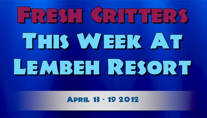 Catch our weekly Critter update produced by our in-house Photo & Video Center.