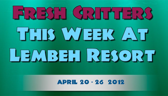 Catch our weekly Critter update produced by our in-house Photo & Video Center.