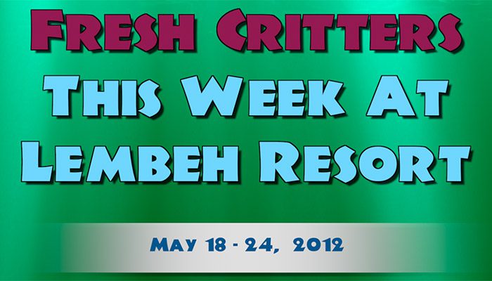 Catch our weekly Critter update produced by our in-house Photo & Video Center.
