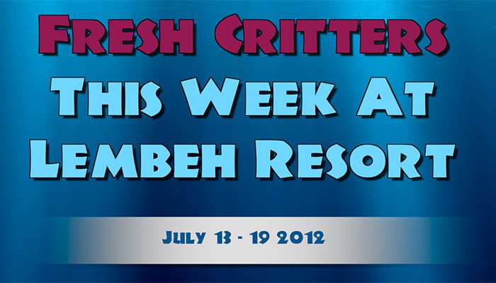 Watch our latest weekly video