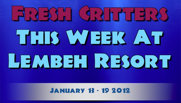 Catch our weekly Critter update produced by our in-house Photo & Video Center.