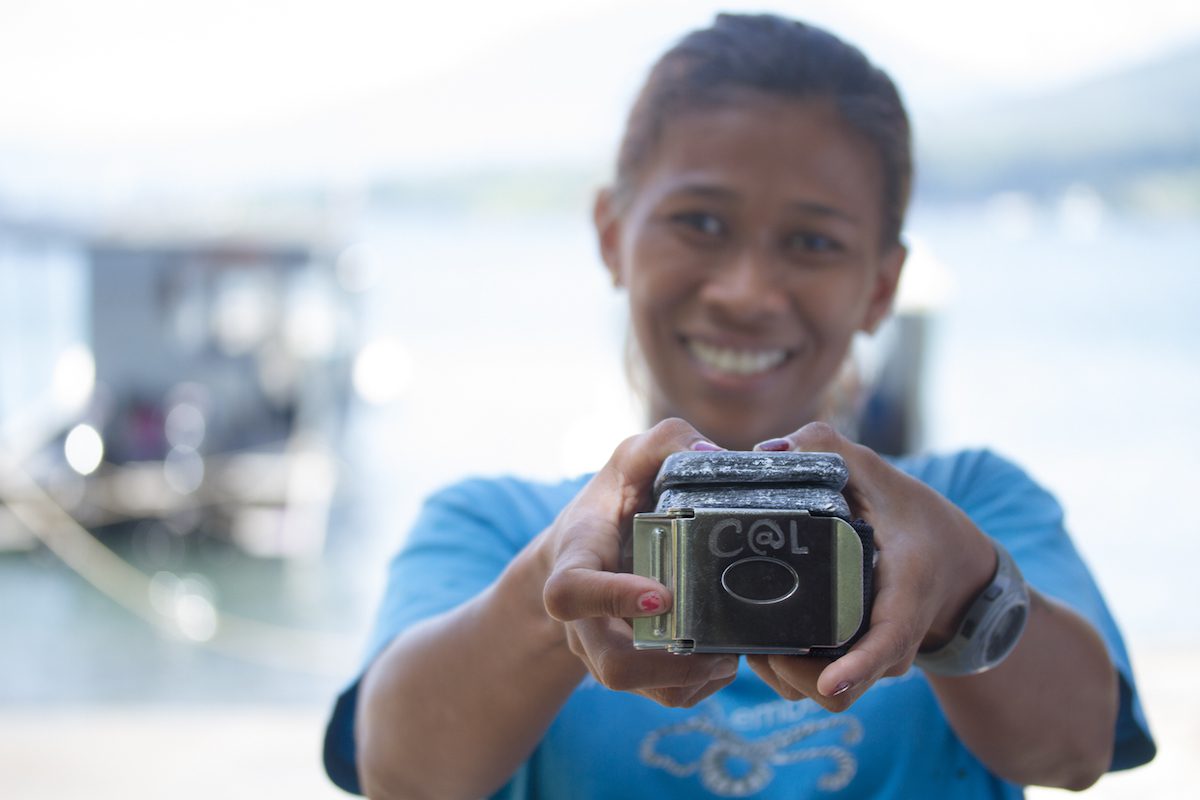 Weighting Buoyancy Buoyancy for diving