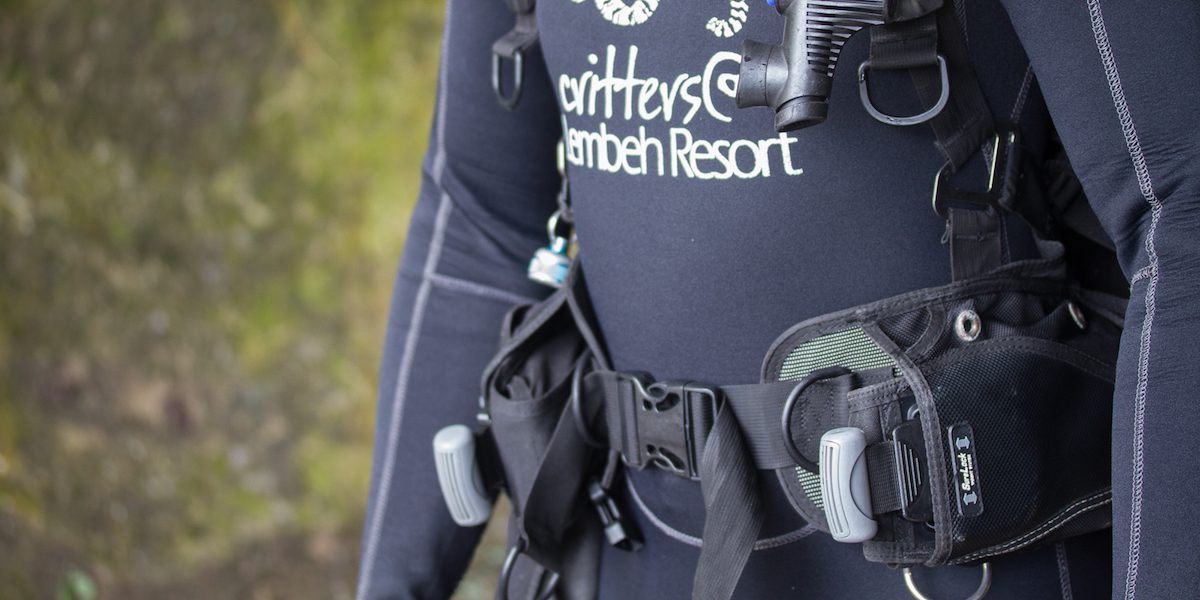 Weights int Trim weights scuba