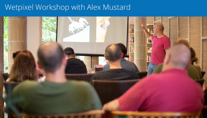 Wetpixel Underwater Photography Workshop with Alex Mustard