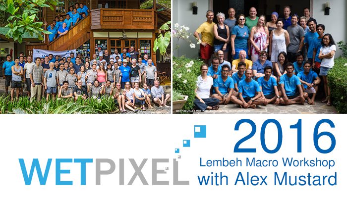 Wetpixel Macro Workshop 2016