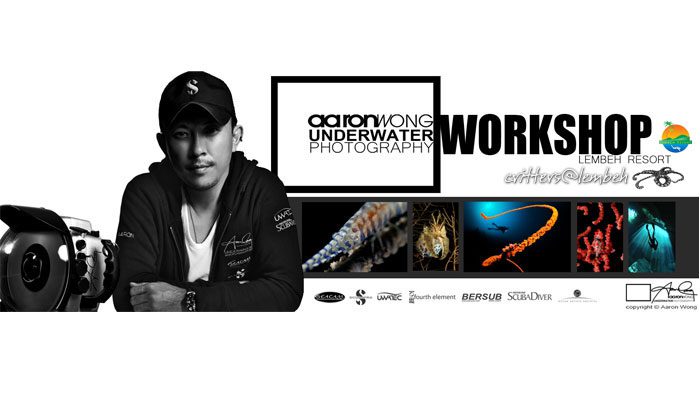 Coming Soon – AARON WONG UNDERWATER PHOTOGRAPHY WORKSHOP