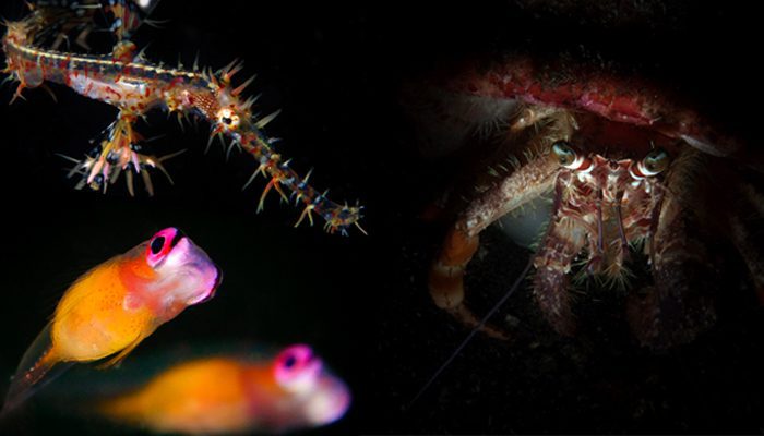 Showcasing Our Guides’ Beautiful Photos