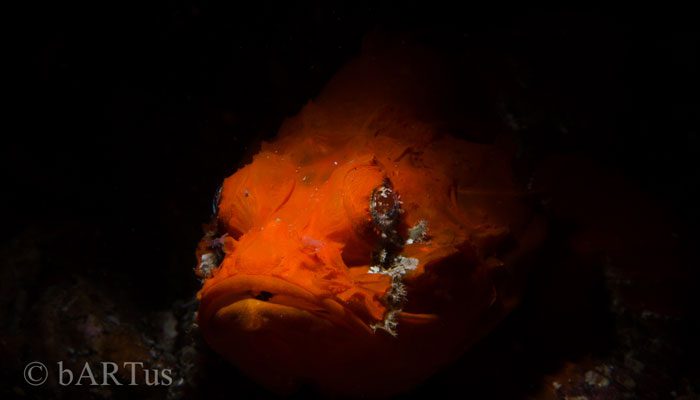5th Visit To The World Of Macro