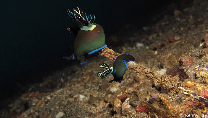 First Dive Trip in 2013