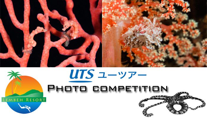 U-Tour Photo Competition