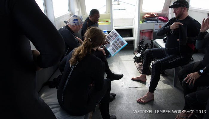 Wetpixel Lembeh Workshop 2013: Day 3 & 4