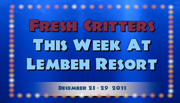 Weekly Web 23 – Closing Out 2011 and Welcoming in 2012