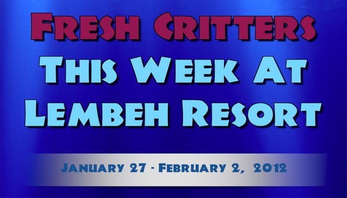 Catch our weekly Critter update produced by our in-house Photo & Video Center.