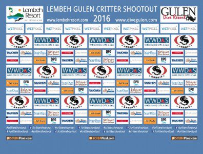 Lembeh Gulen Critter Shootout - Lembeh Strait - Indonesia